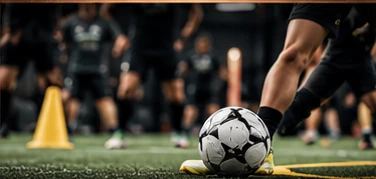 Bronze membership training and development